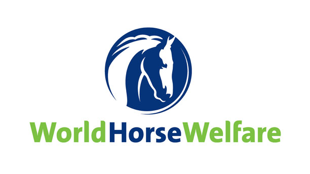 World Horse Welfare